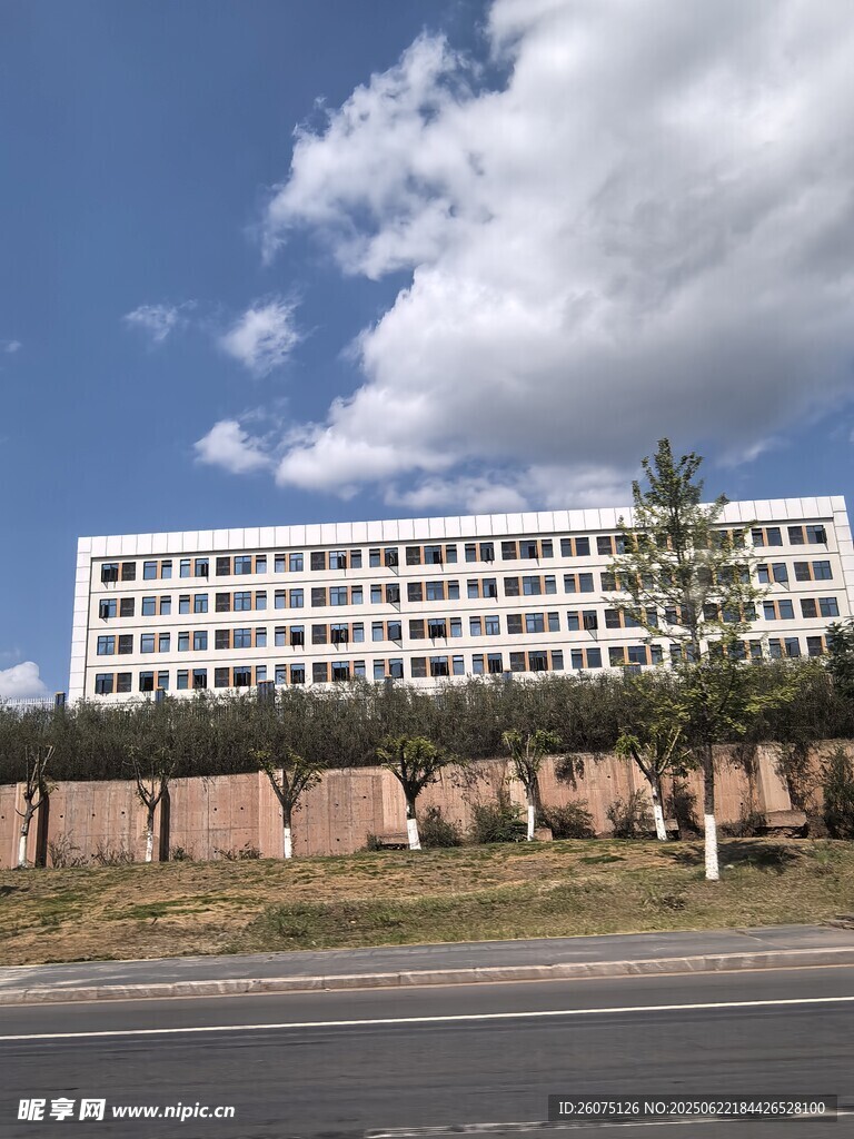 城市中高楼与绿植景观