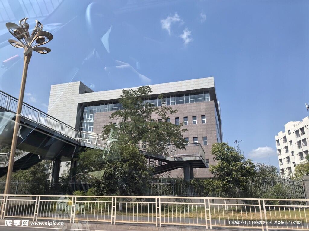 现代建筑旁的绿树与蓝天