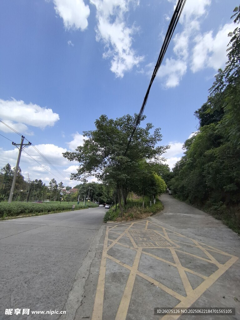 乡村道路旁的绿树蓝天