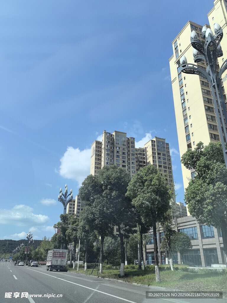 城市道路旁的高楼与绿树