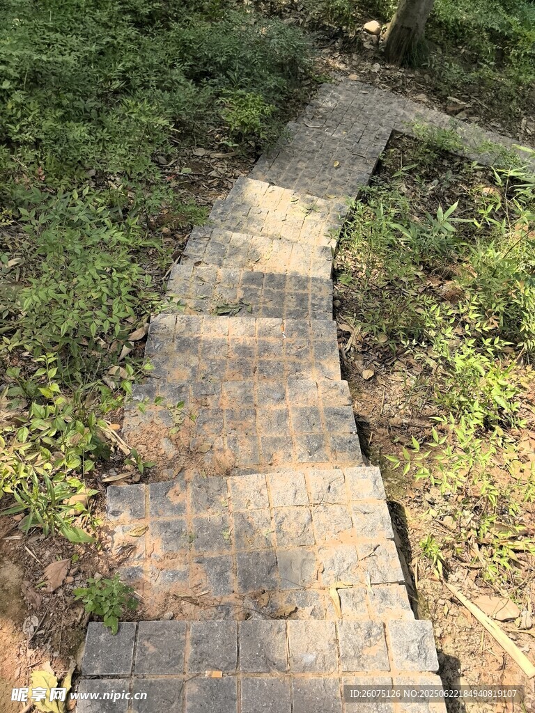 林间石板小径