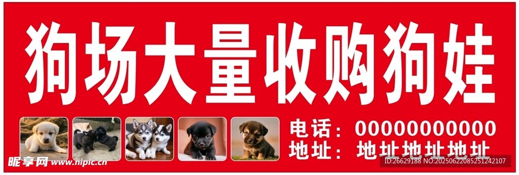 收购狗娃