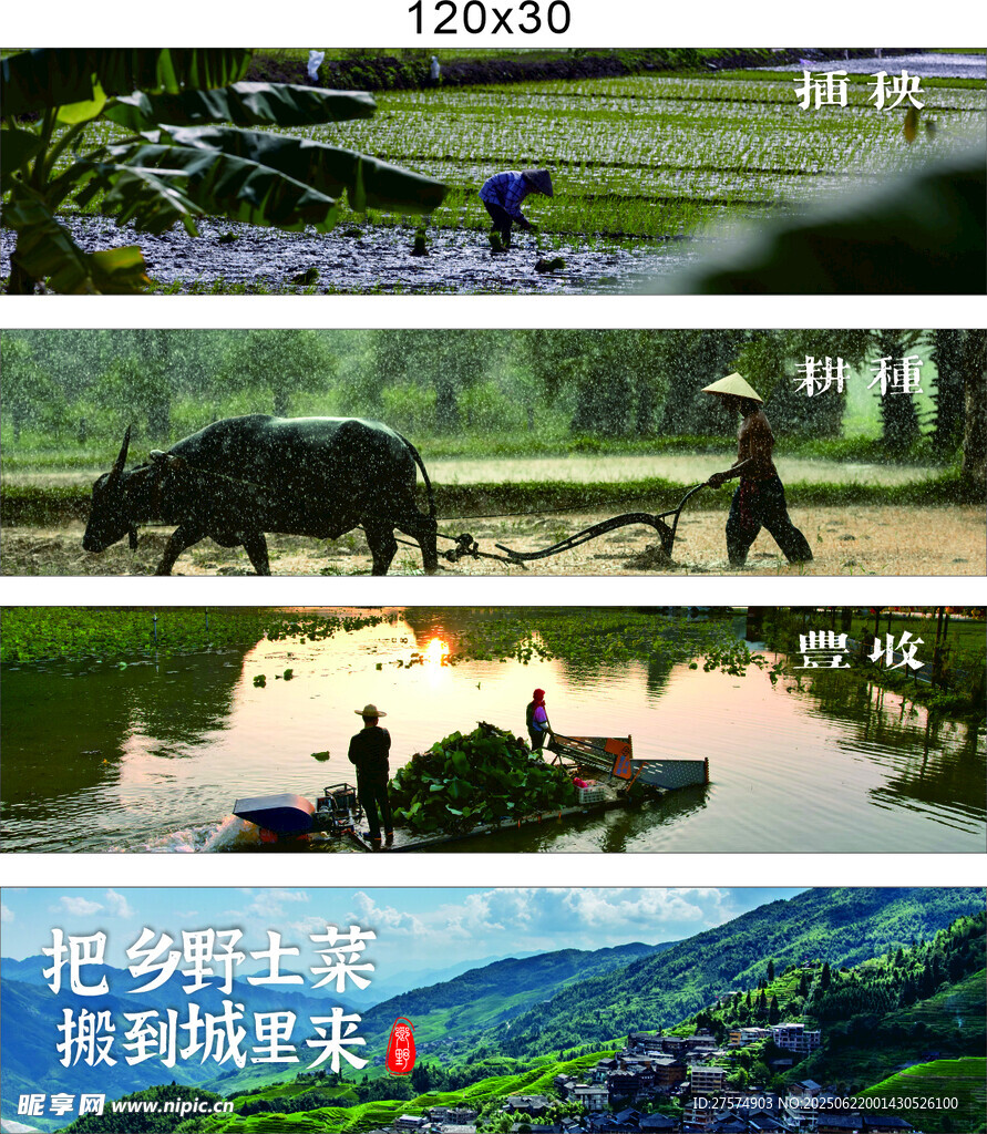 乡村田园农耕生活景象