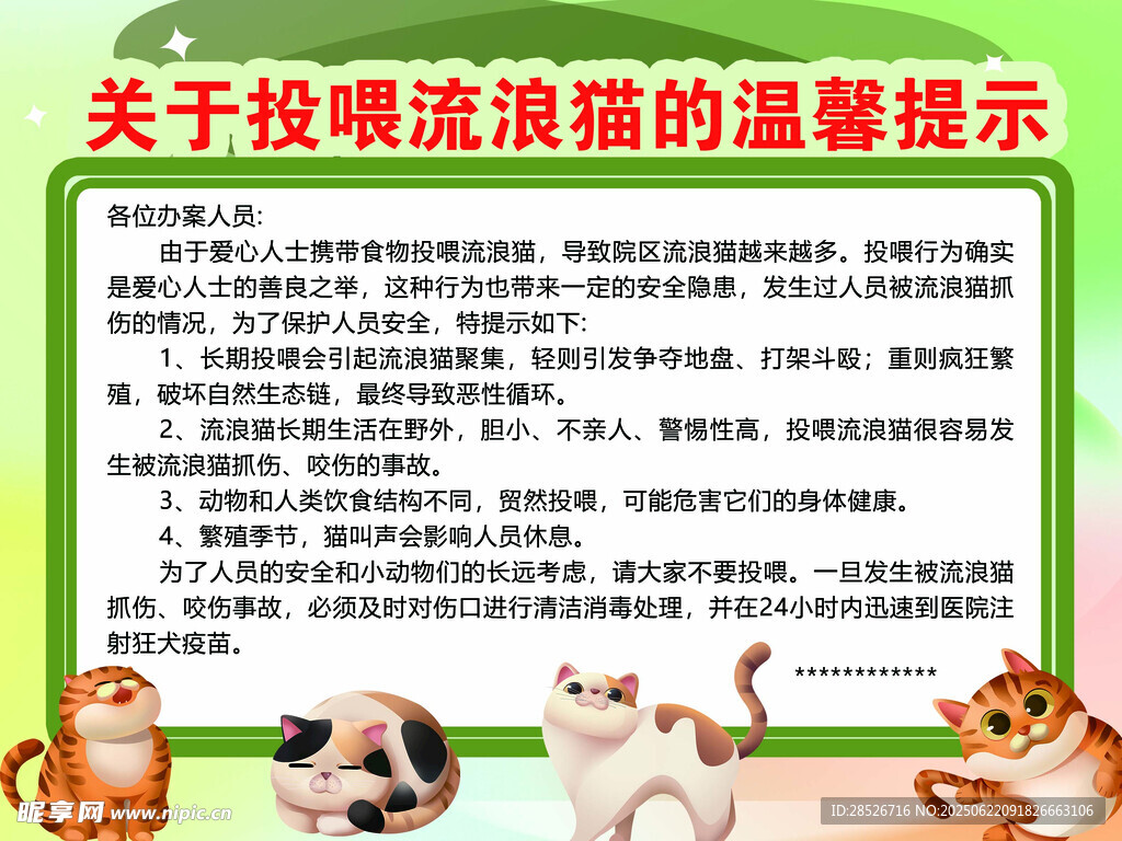 投喂流浪猫温馨提示