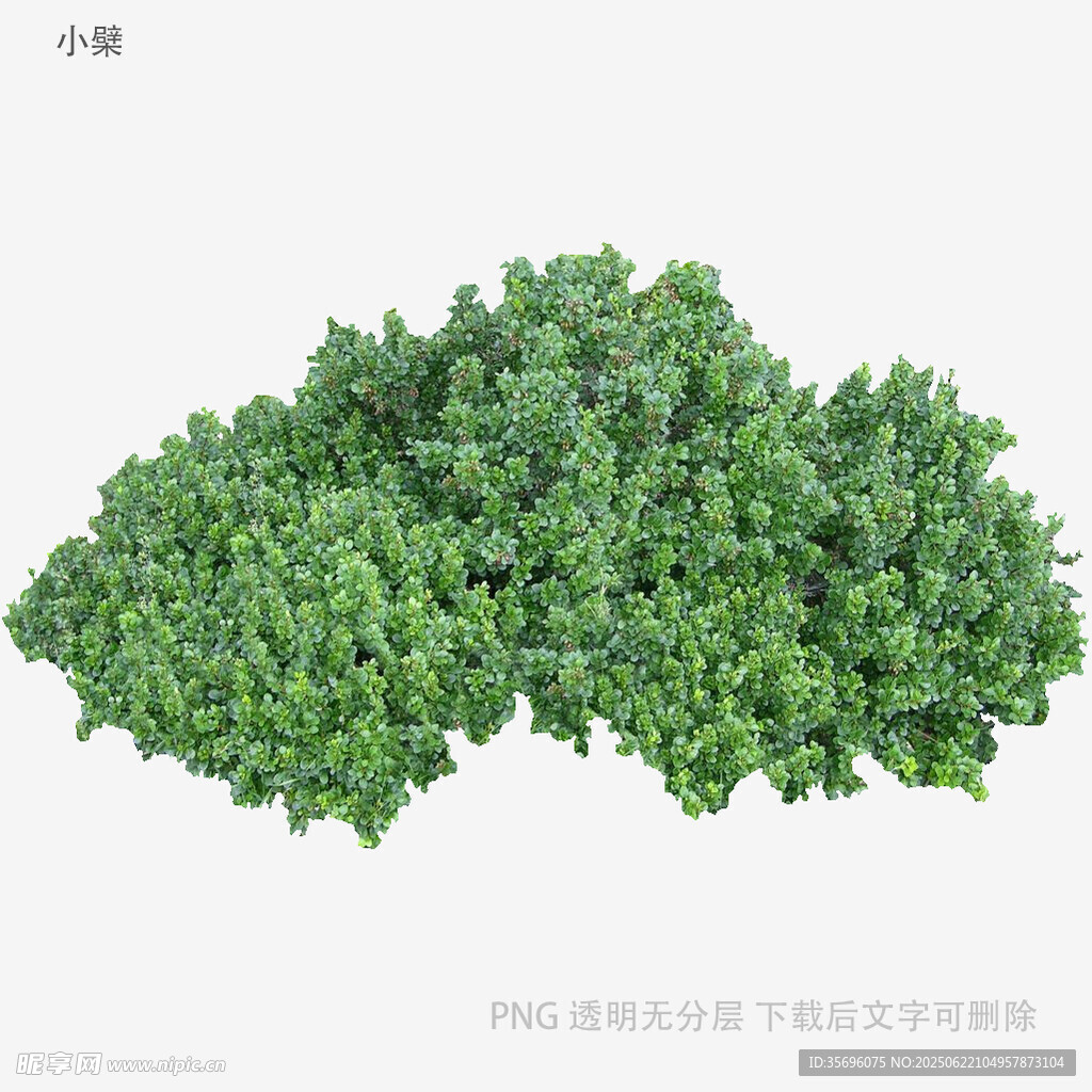 绿色植物模型