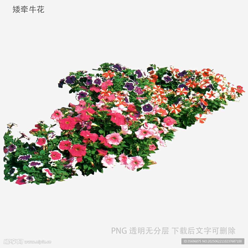 多彩花卉组合景观