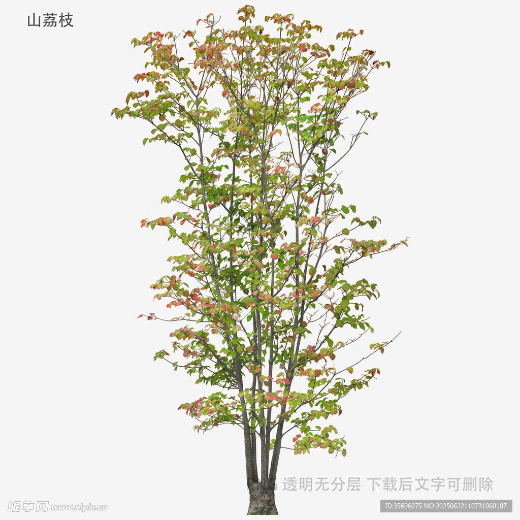 多彩树叶树木3D模型
