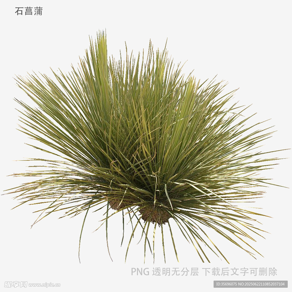 绿色蓬松状仿真草植物