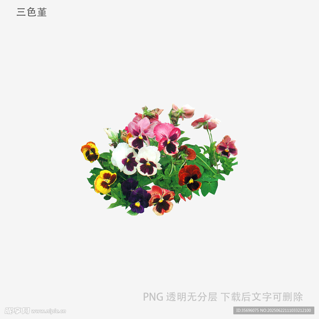 多彩花卉组合装饰图案