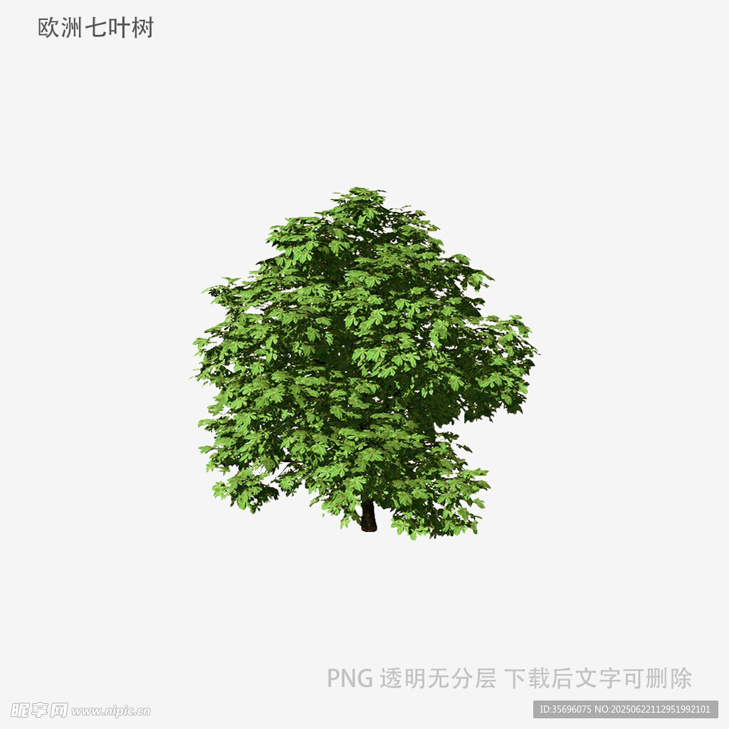 绿色茂盛树木3D模型