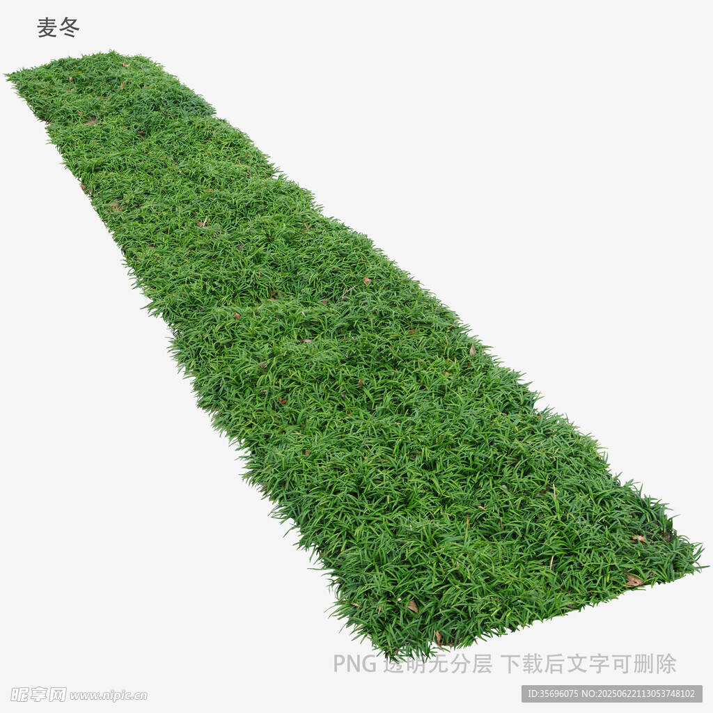 植物