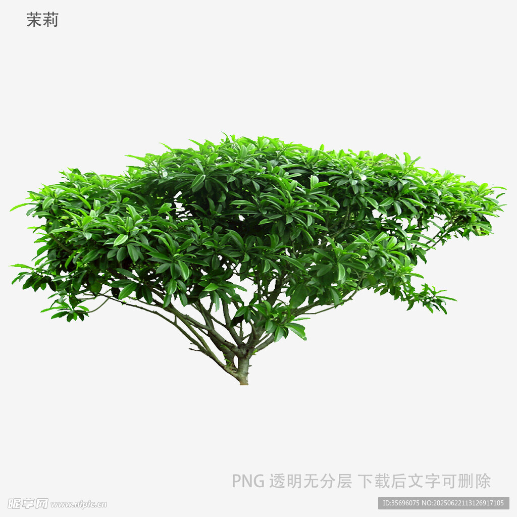 翠绿繁茂的灌木模型
