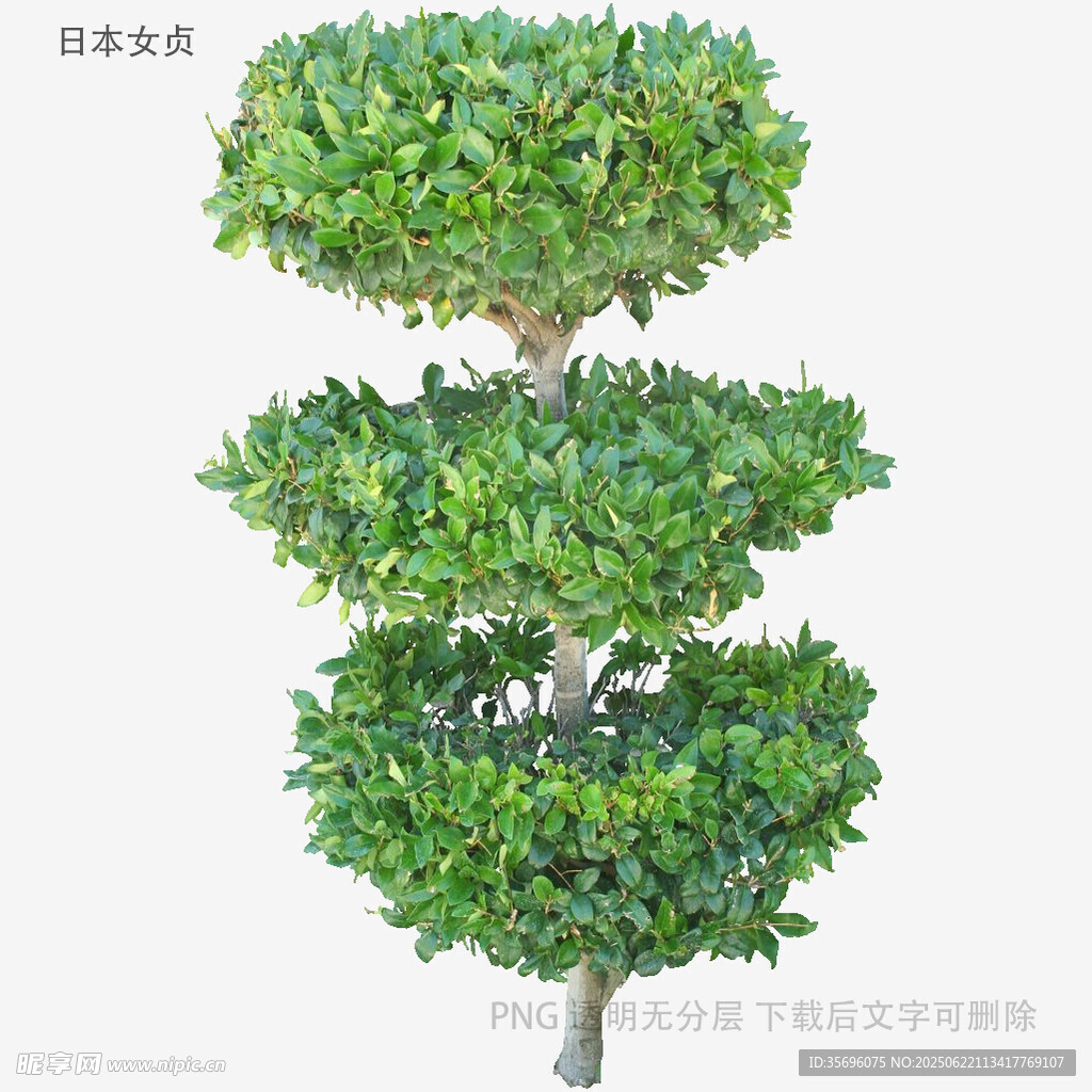 三层球形绿植盆景