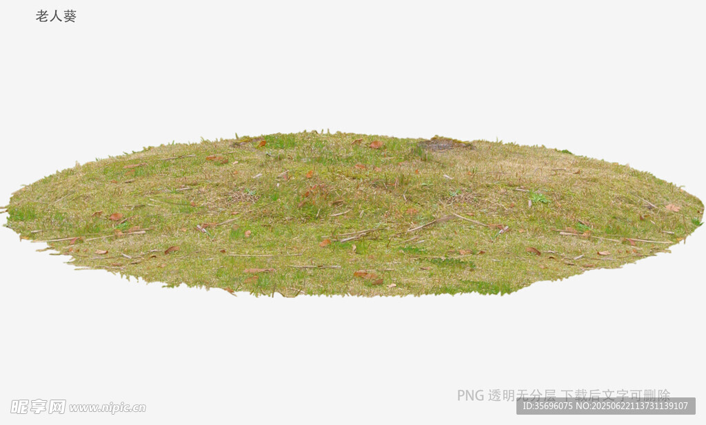 绿色草地模型