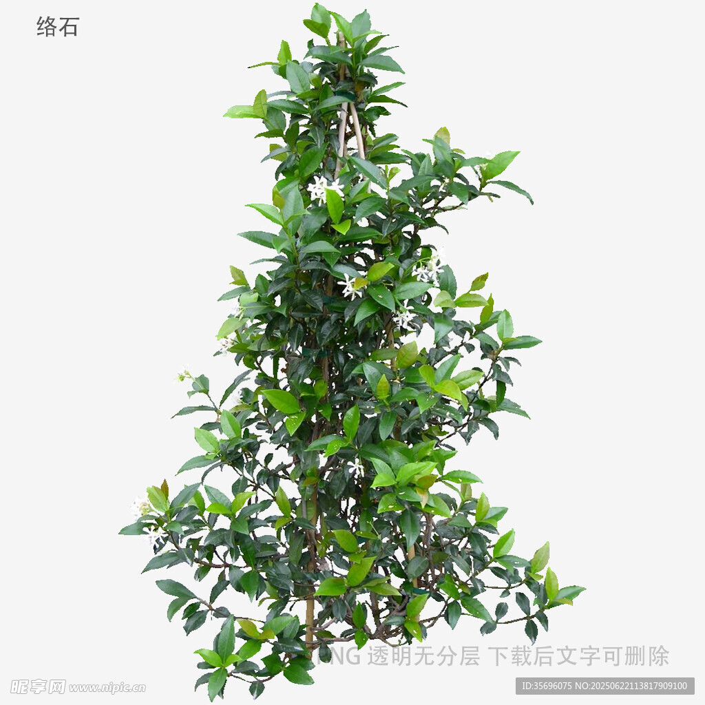 绿色繁茂仿真绿植盆栽
