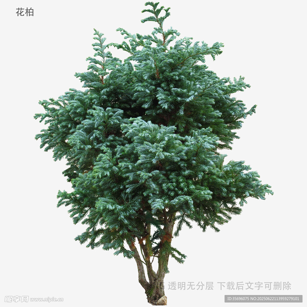茂盛绿植树木3D模型