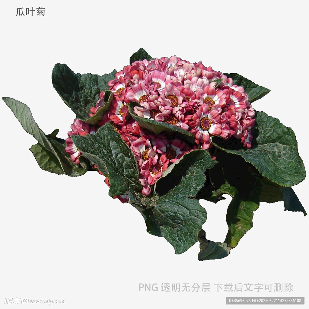 粉色绣球花绿植装饰摆件