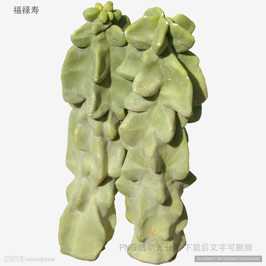 奇特造型绿色假山石
