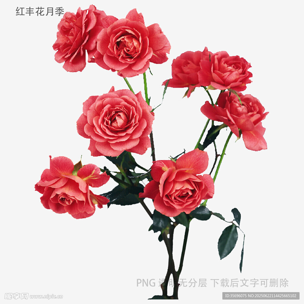 鲜艳红玫瑰插花摆件