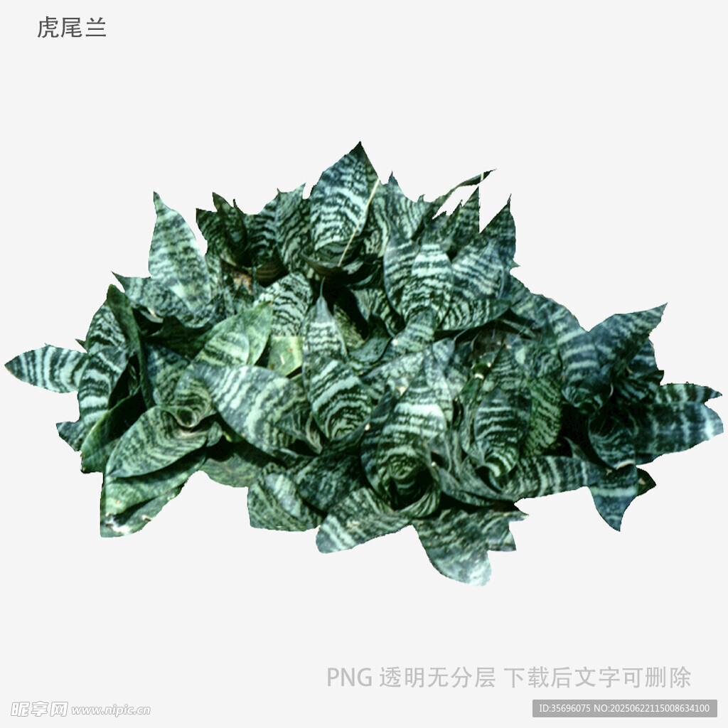 褶皱金属质感绿色艺术造型