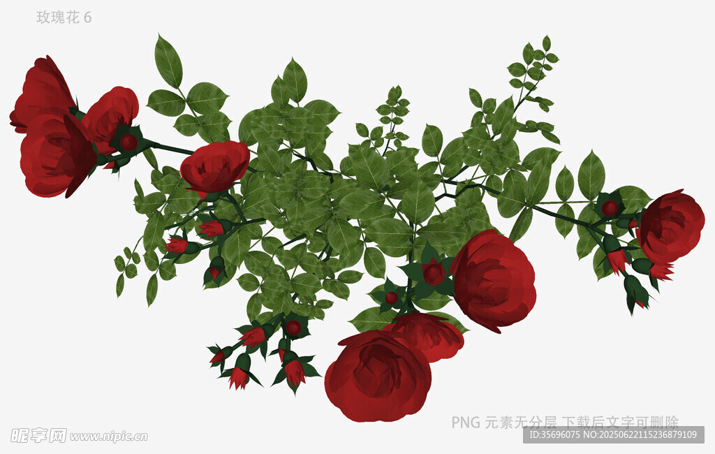 红玫瑰绿植3D模型展示