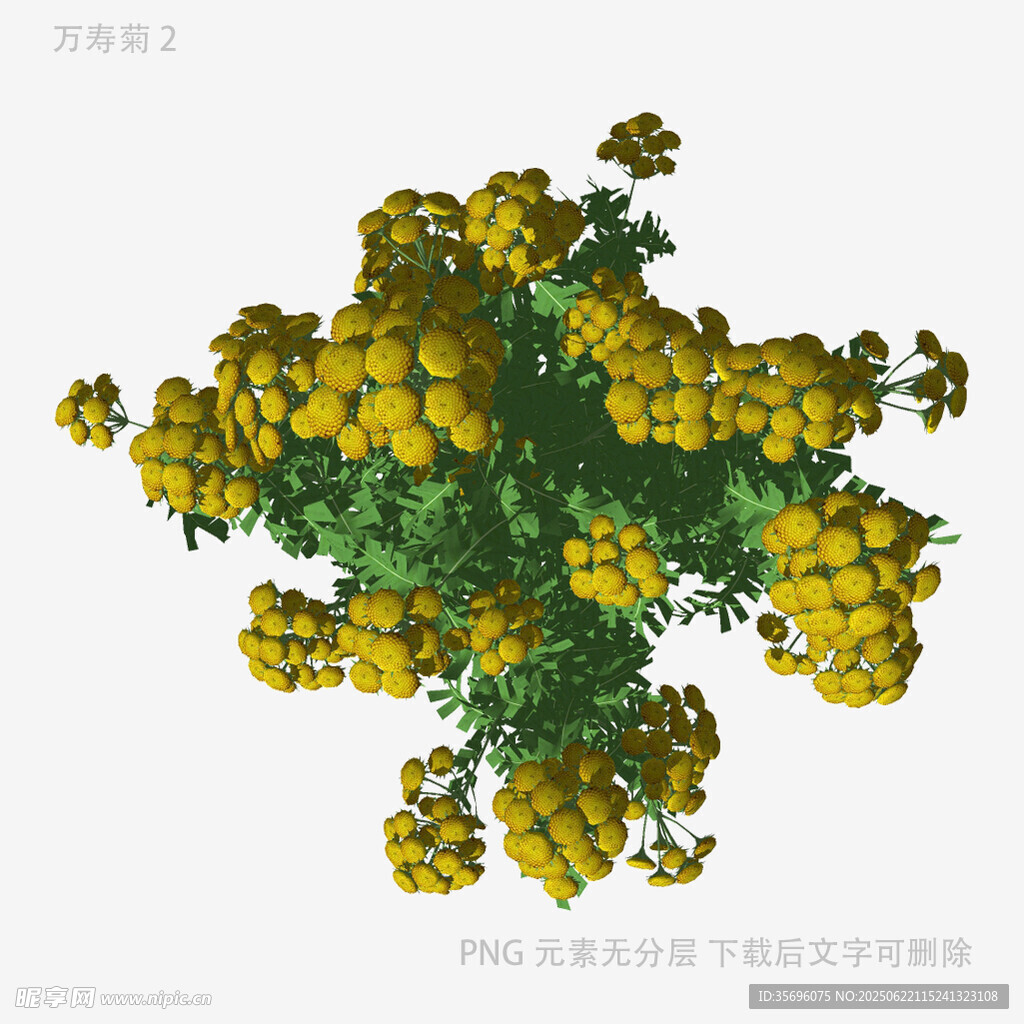黄色花簇3D模型