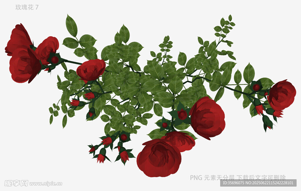 红玫瑰绿植装饰图案