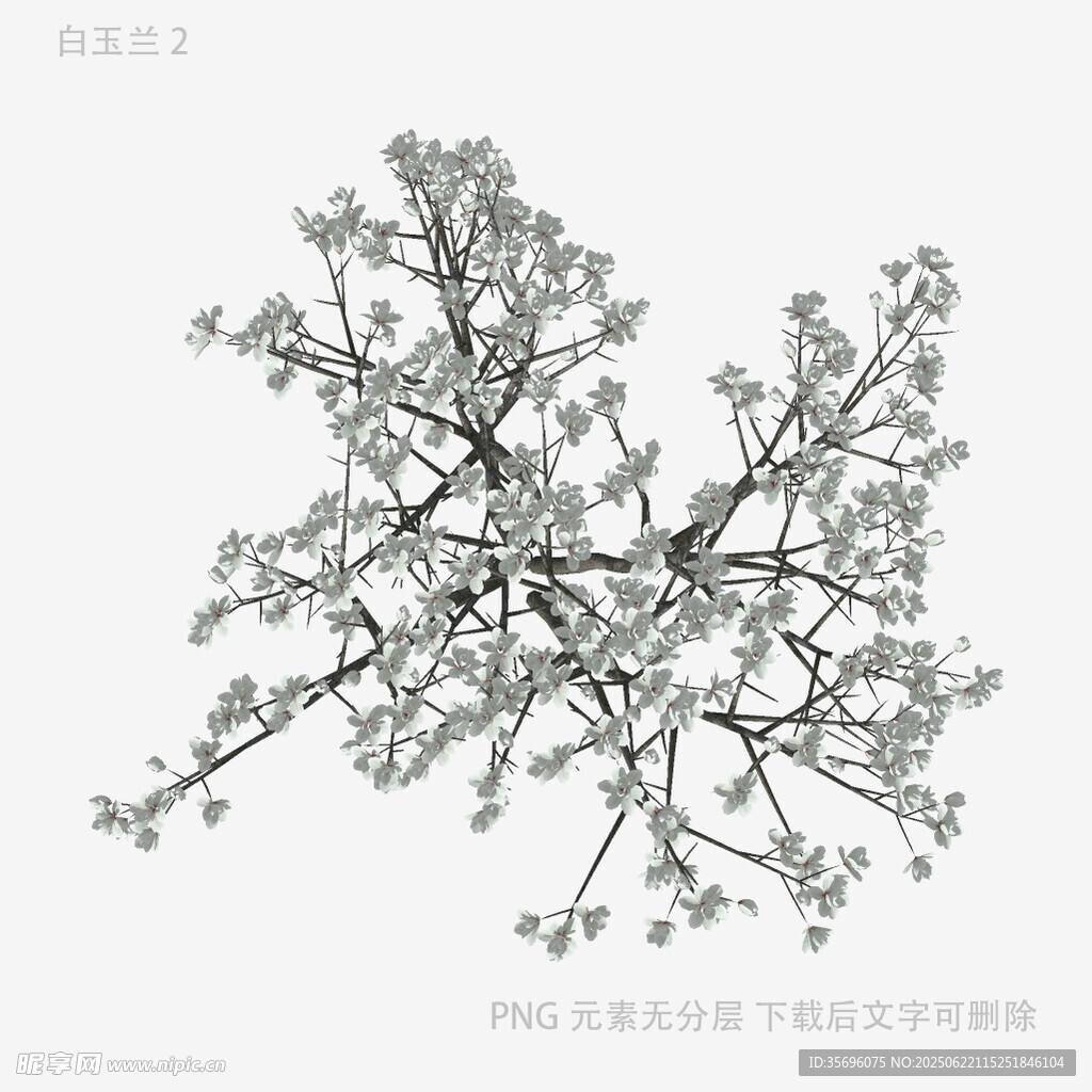 水墨风树枝花卉图案