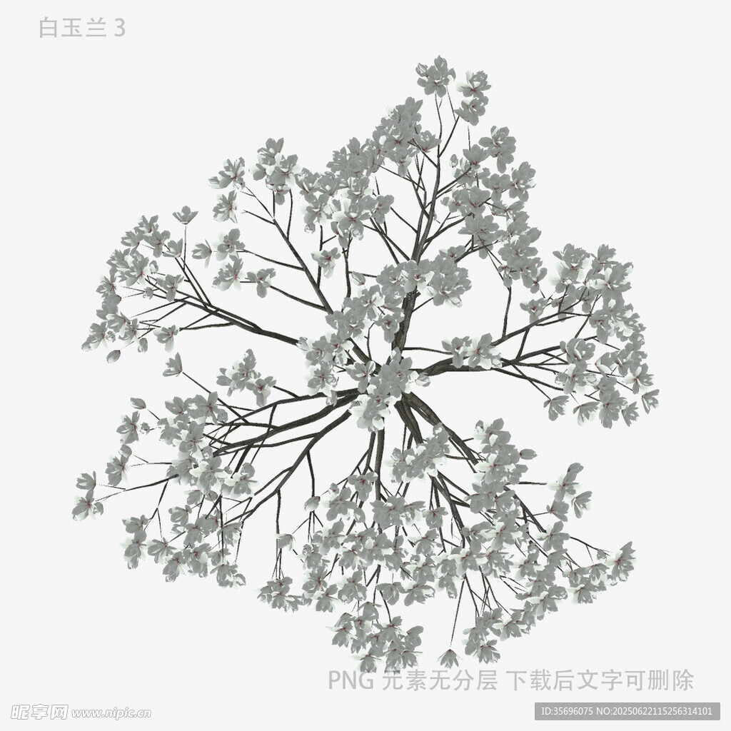 抽象树状图案设计元素