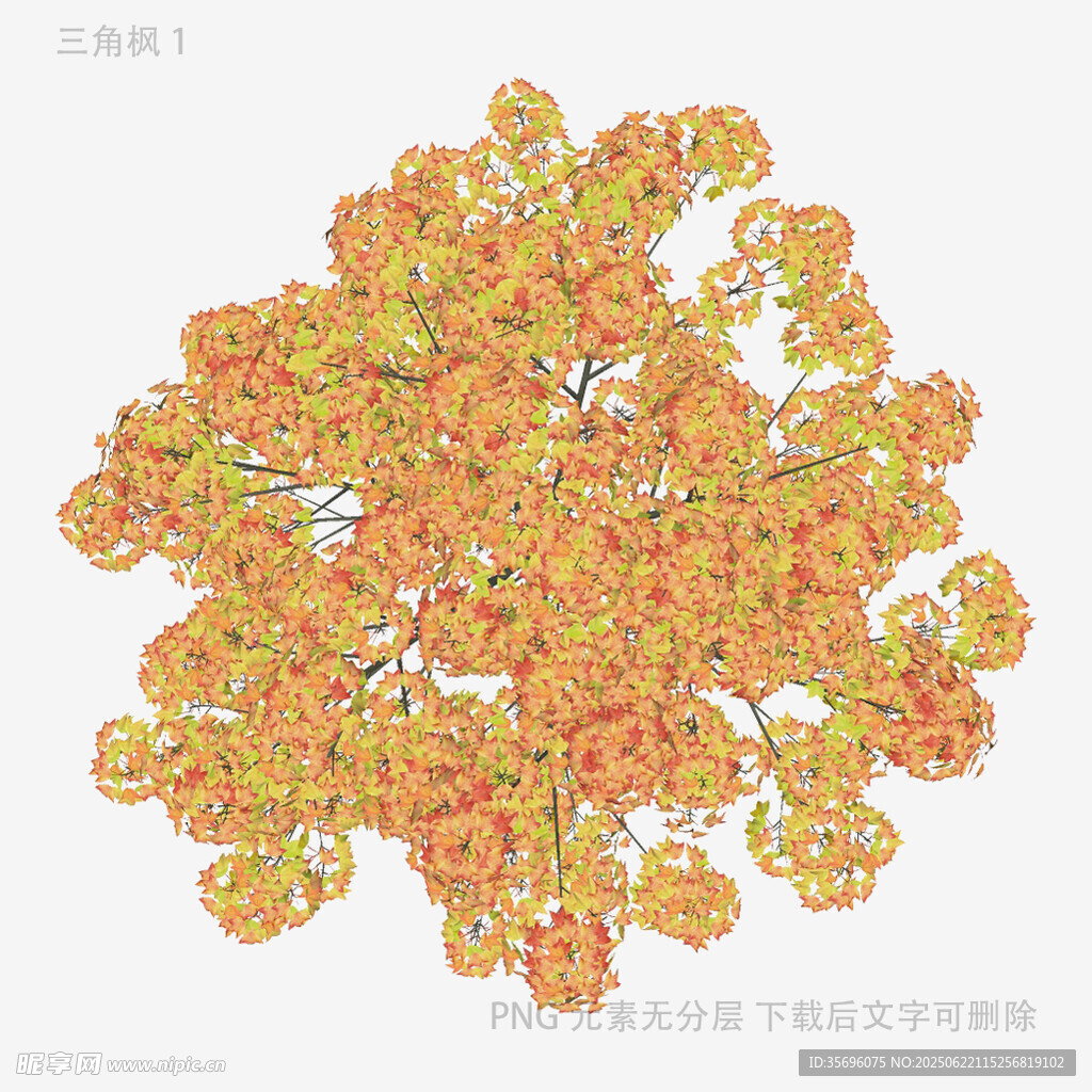 橙黄色花卉图案