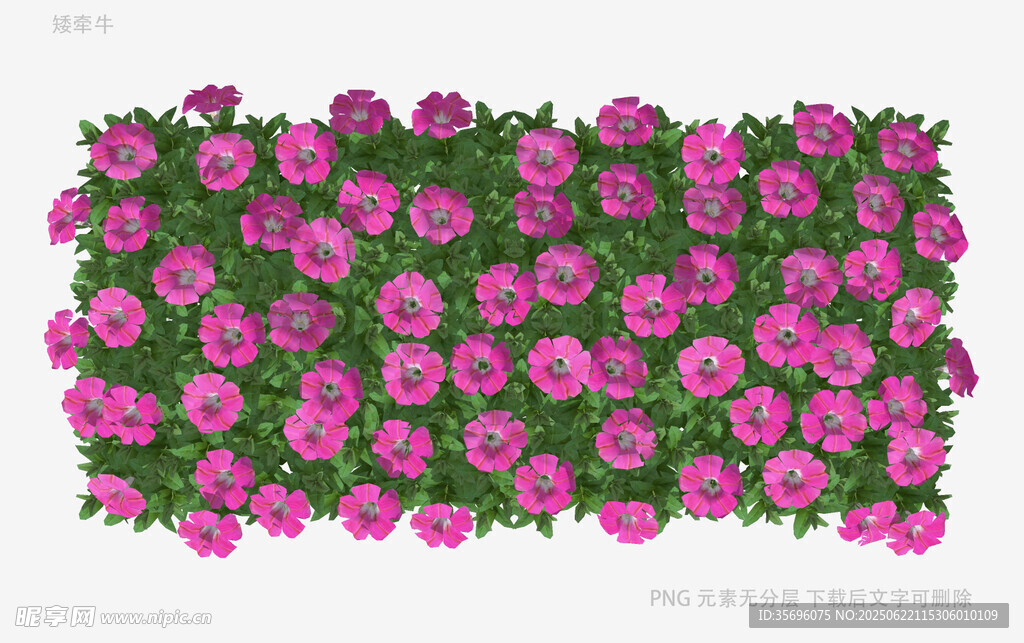 粉色花卉绿植墙装饰图