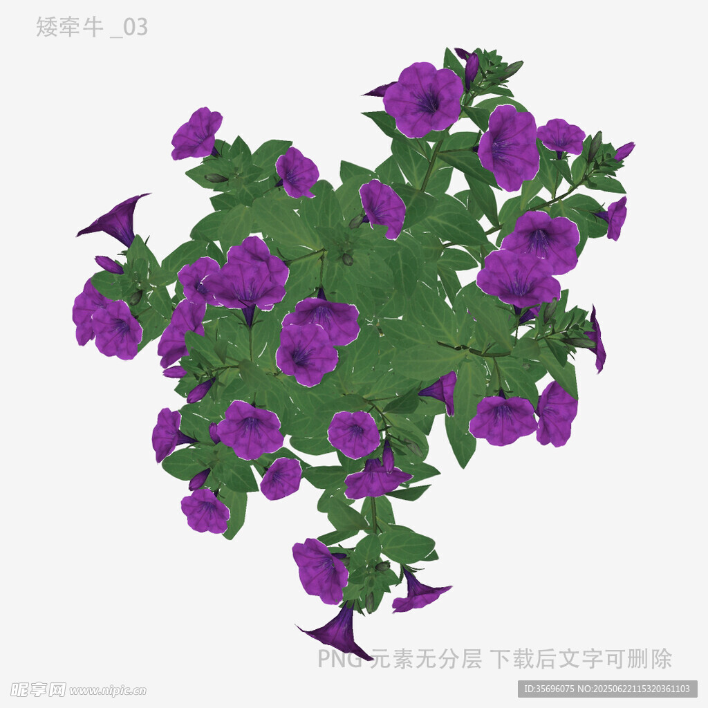 紫色垂吊花卉3D模型
