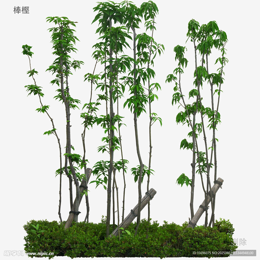绿植景观模型
