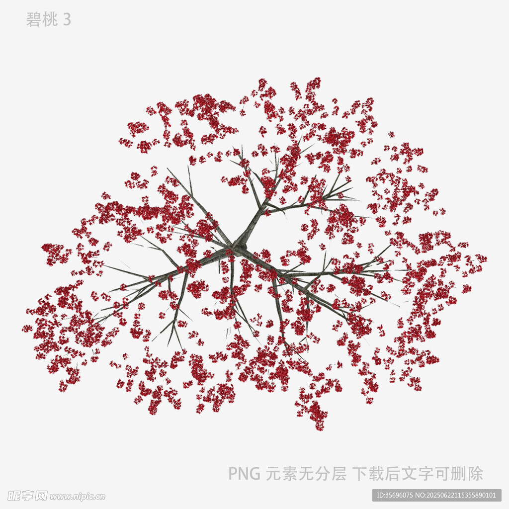 红色繁花树枝插画
