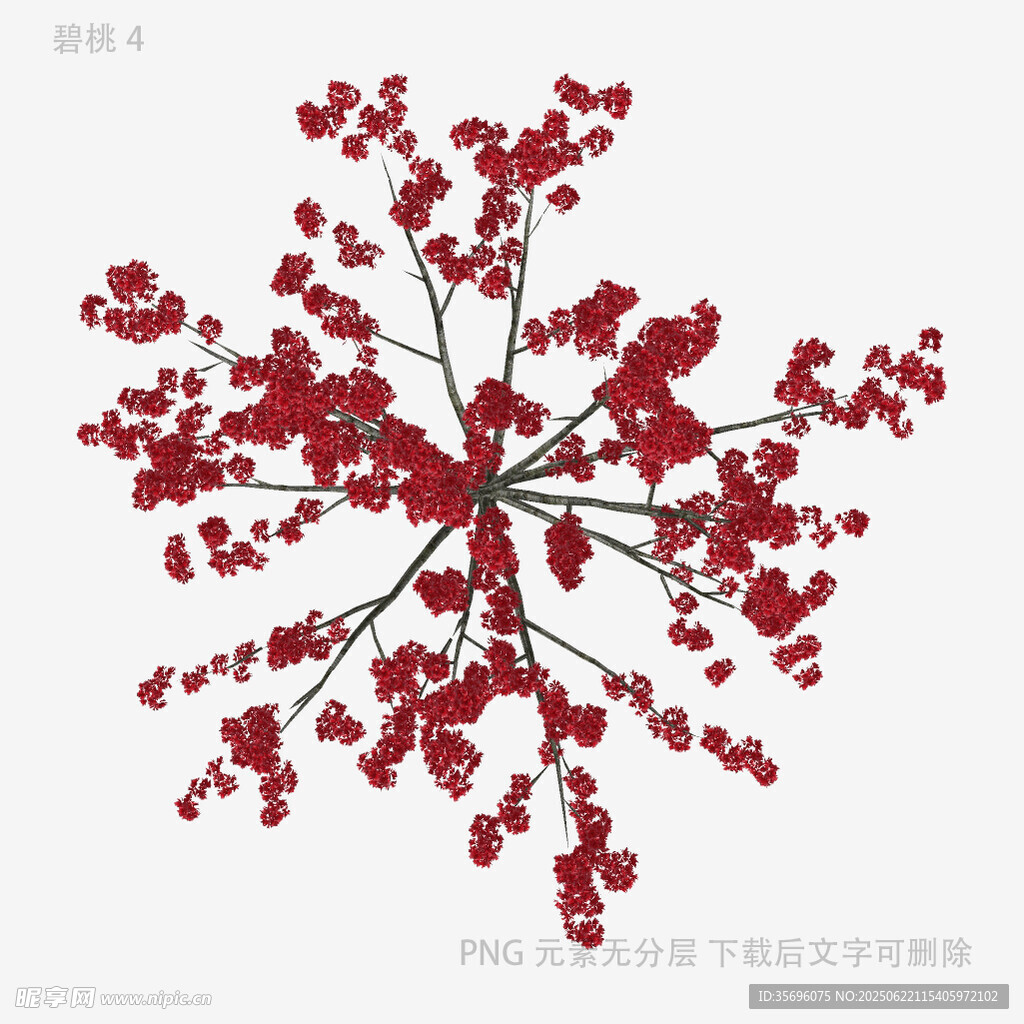 红色繁花树枝插画