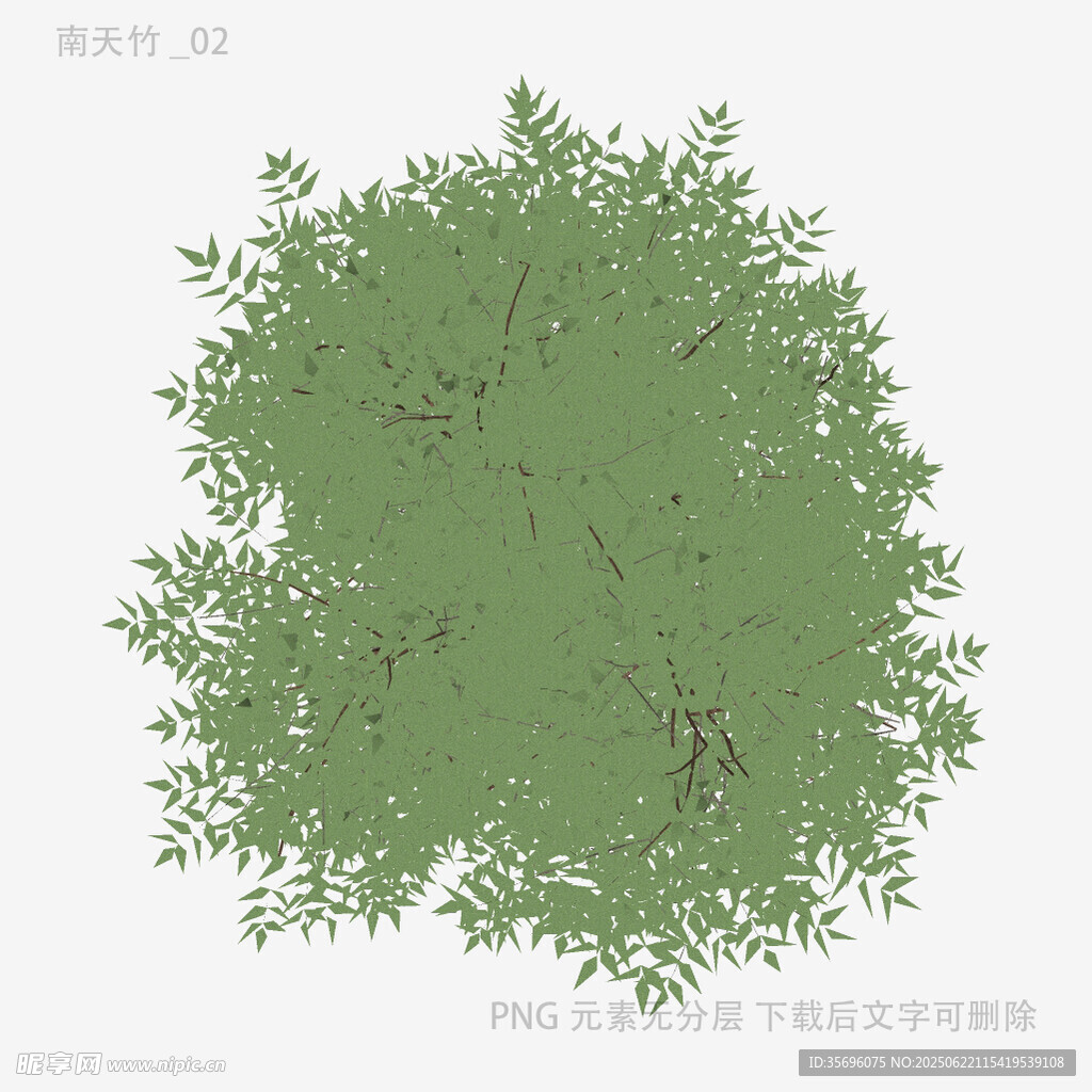 俯视视角绿色树冠插画