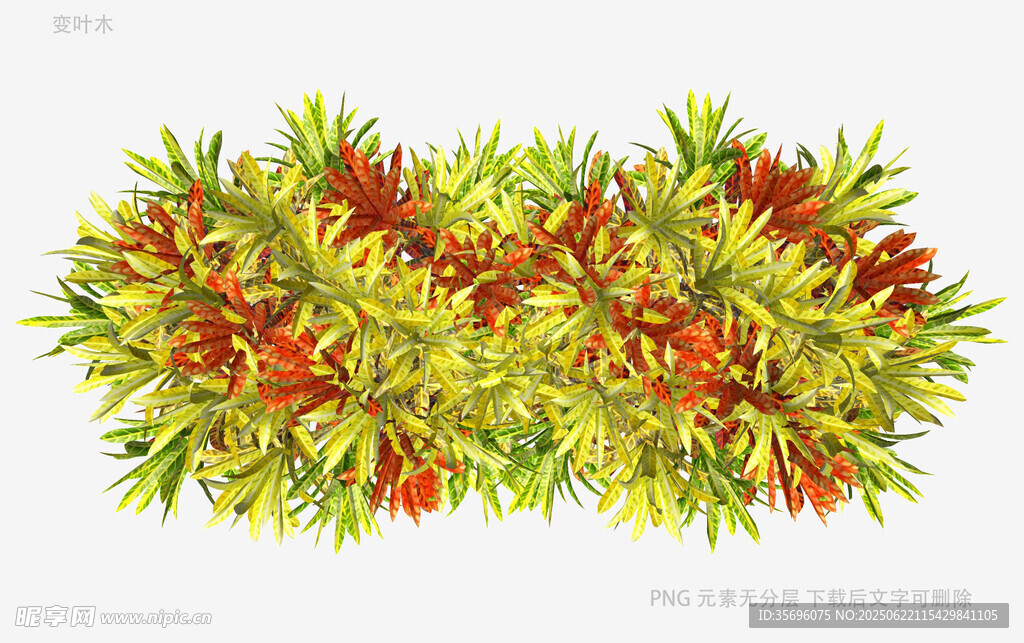 多彩植物装饰图案