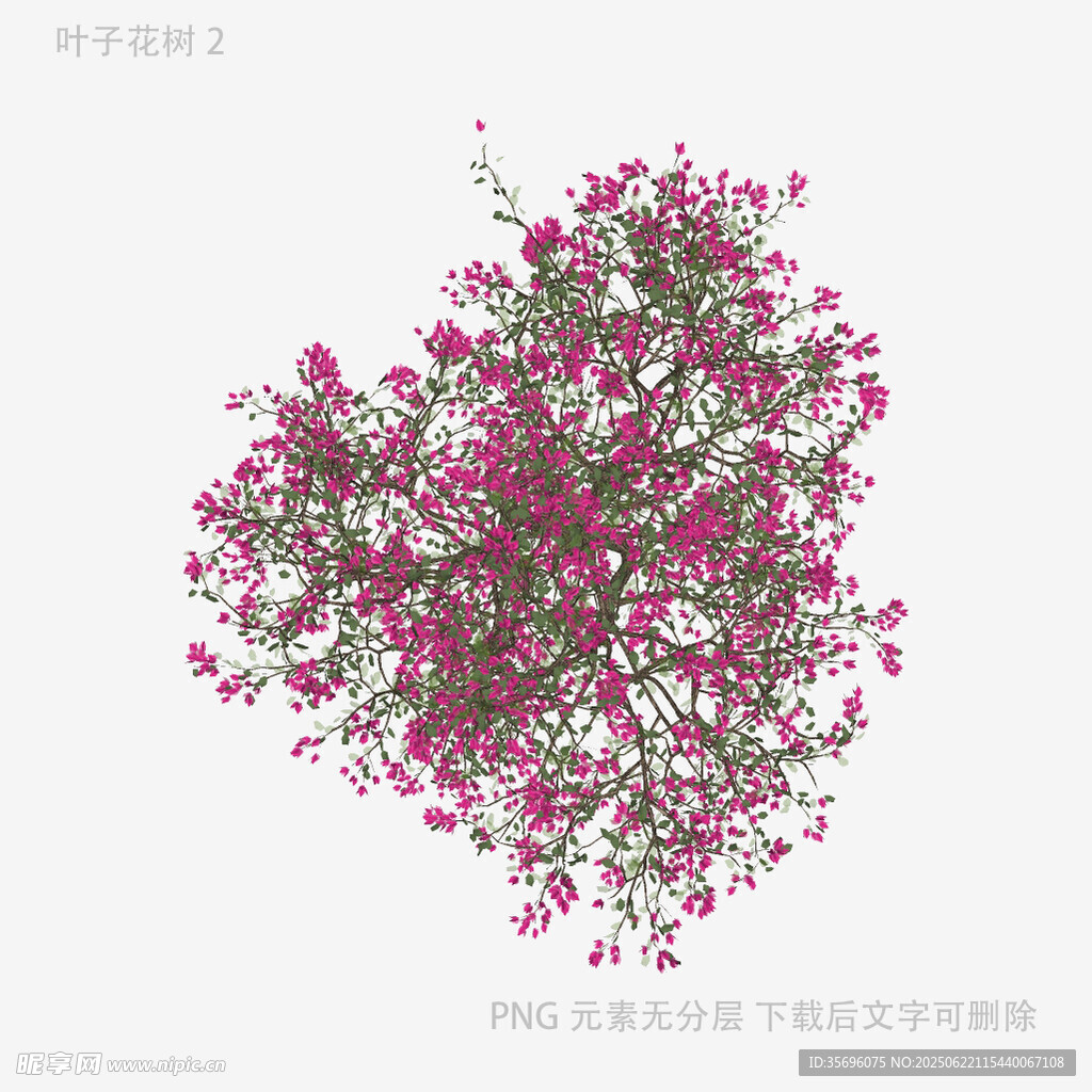 粉色繁花植物3D模型