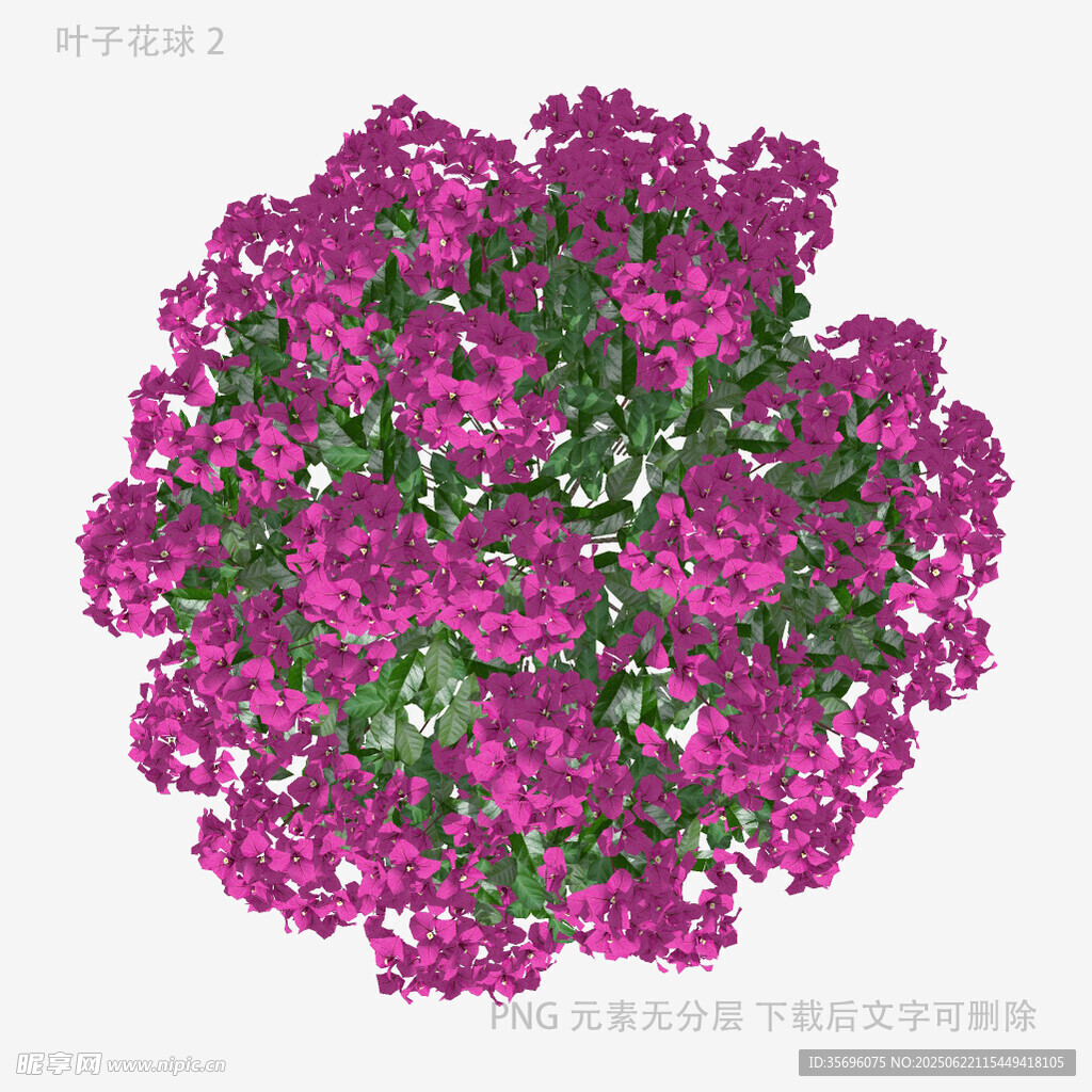 紫色繁花簇拥的美丽花团