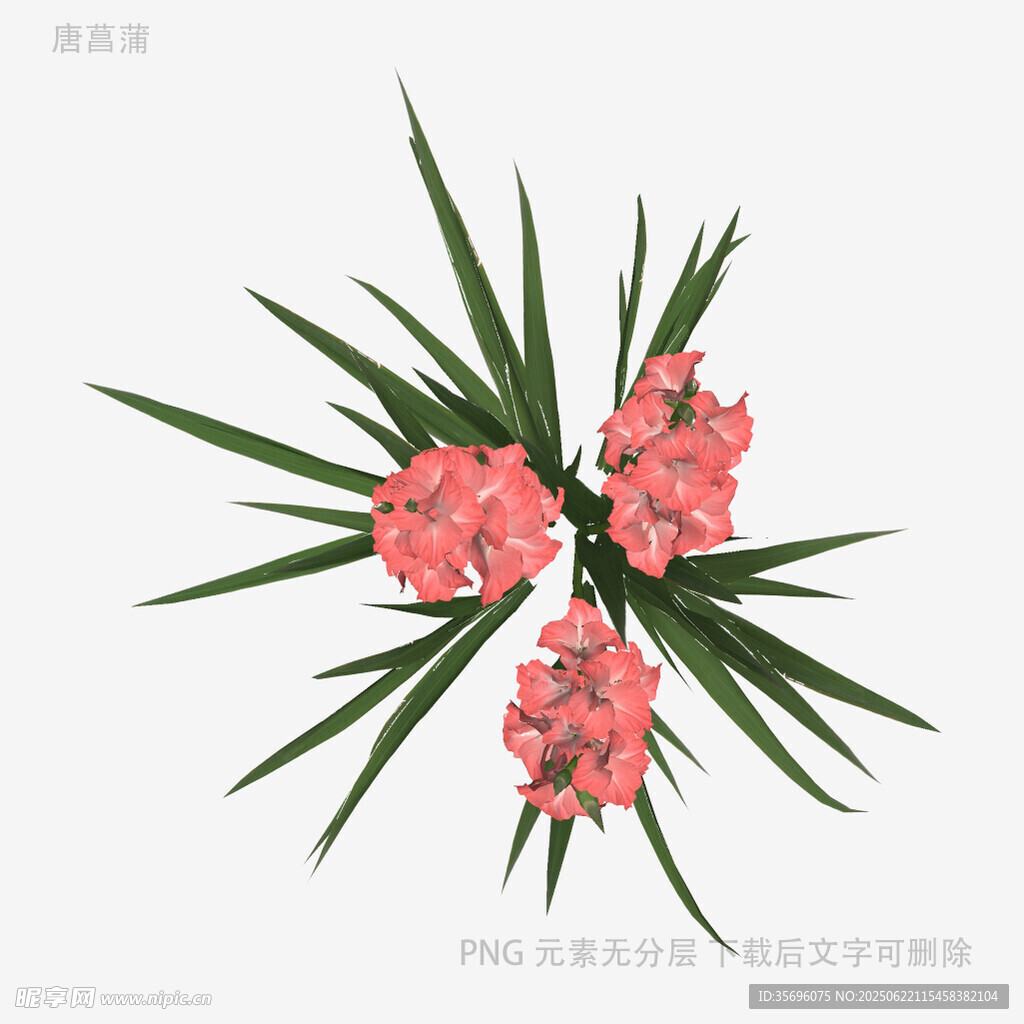 粉色花朵与绿叶插画图案