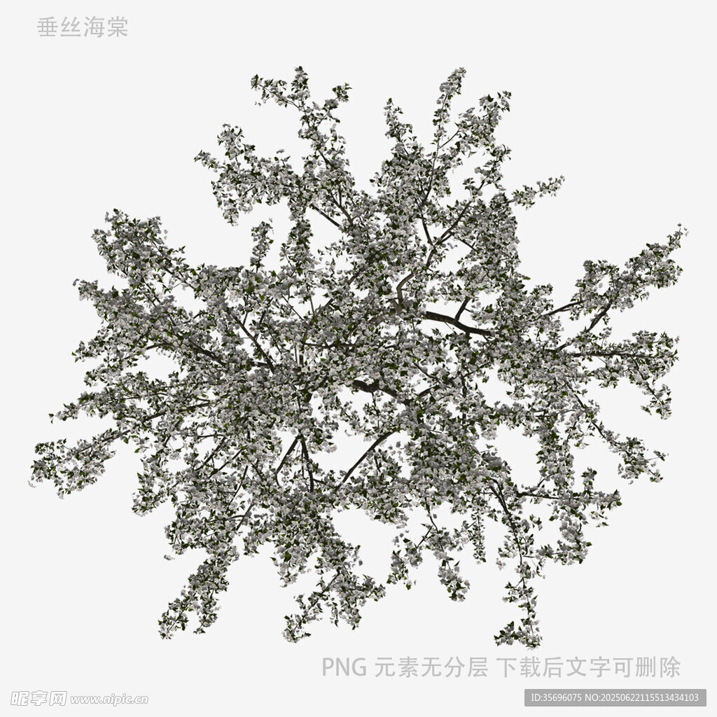 简约风格树木3D模型