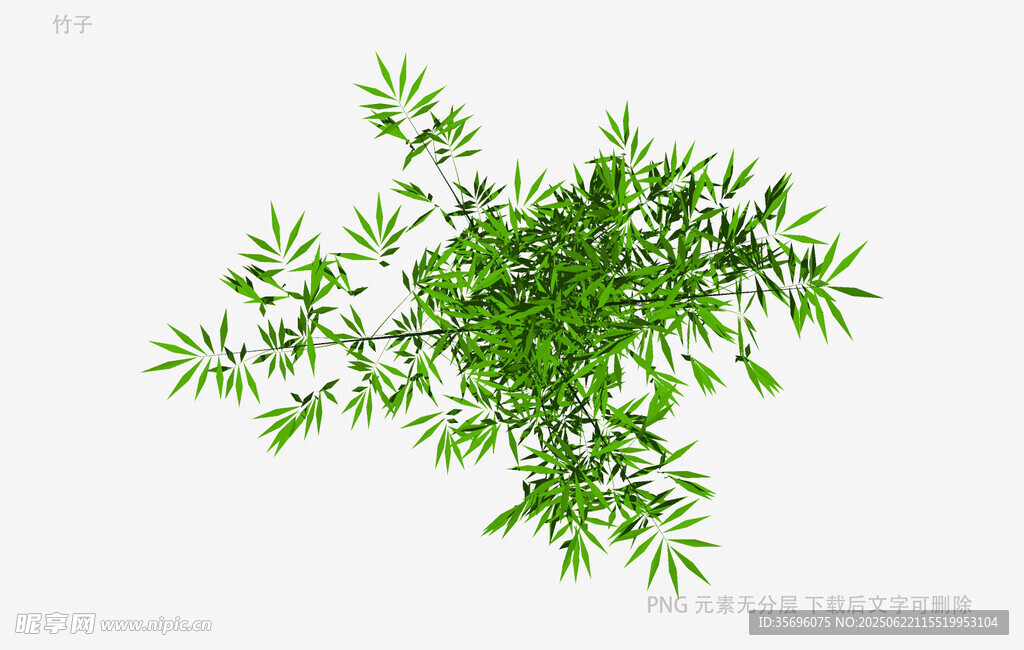 翠绿竹叶3D模型展示