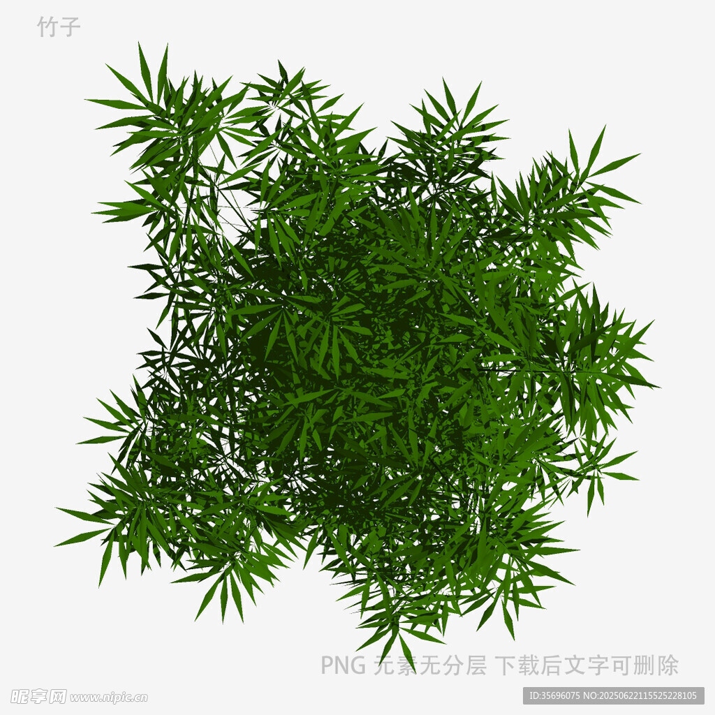 俯视视角的茂密绿植