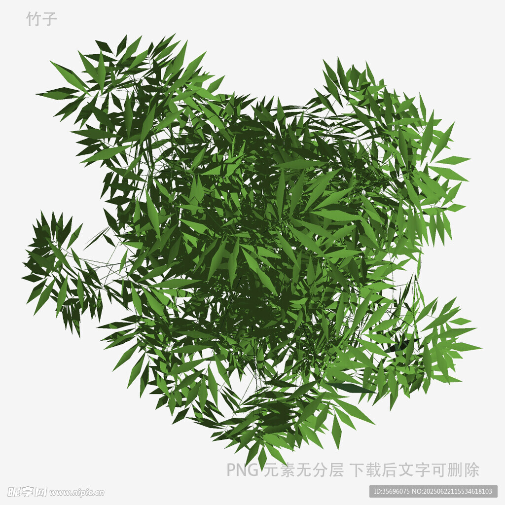俯视视角下的翠绿植物