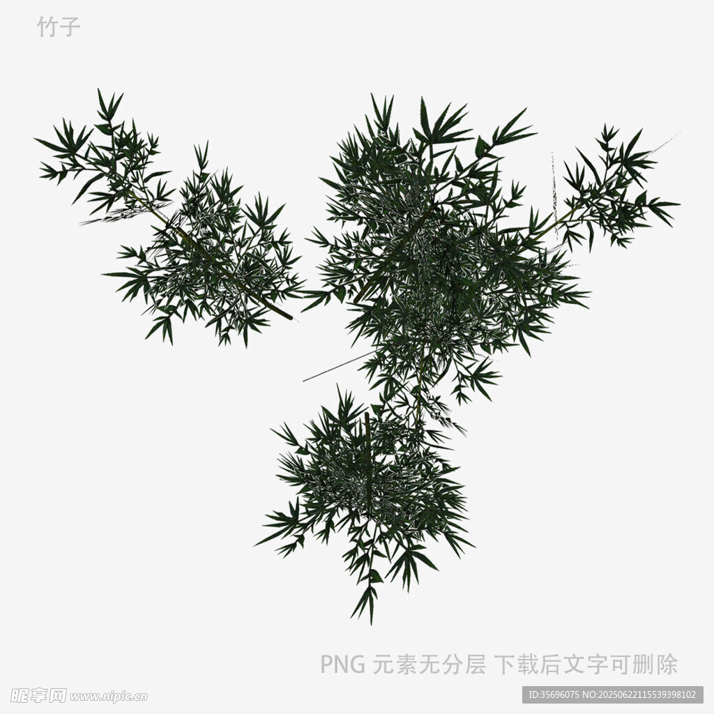 翠绿枝叶植物素材
