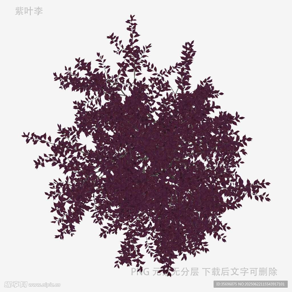 紫色树冠植物剪影