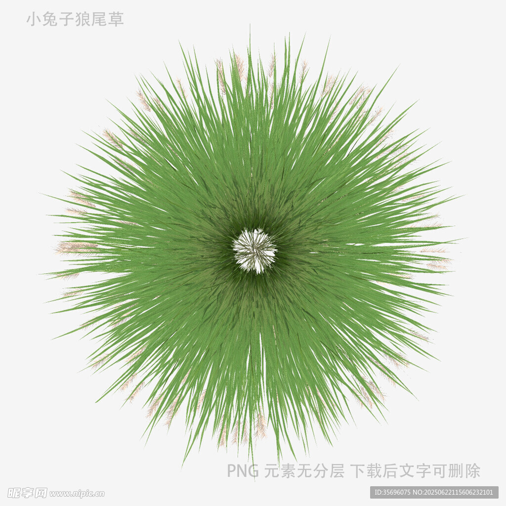 绿色球状植物3D模型