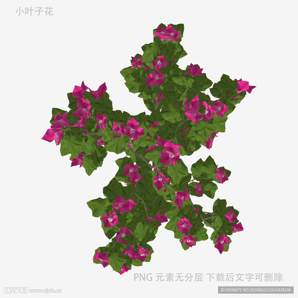 粉色花朵绿植3D模型
