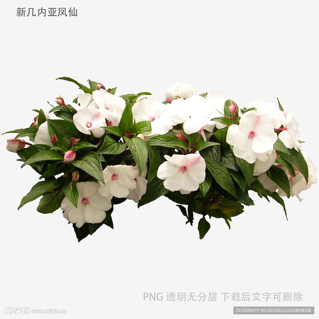 白色花卉绿植装饰摆件