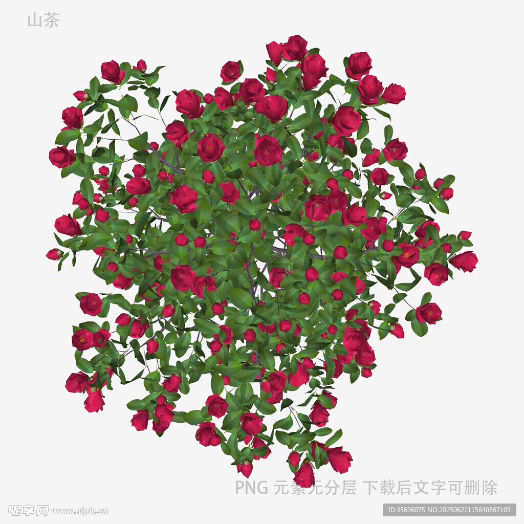 红色花卉植物3D模型图